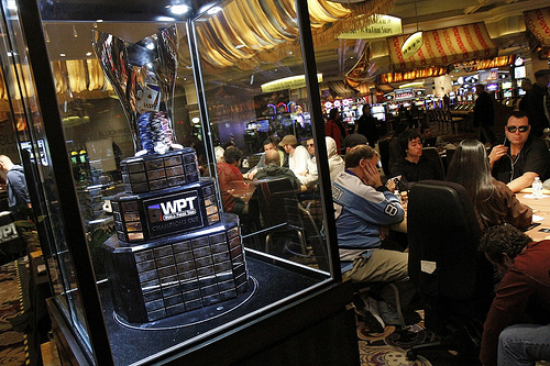 wpt-cup