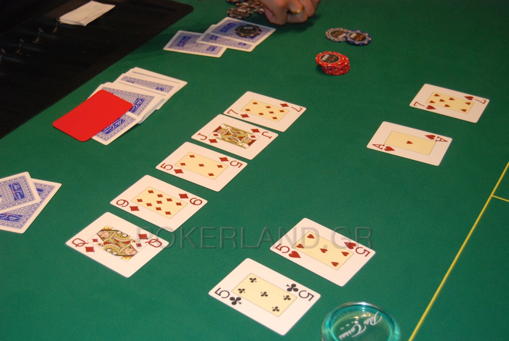 DSC_0726_-_2011-07-23_at_16-12-13