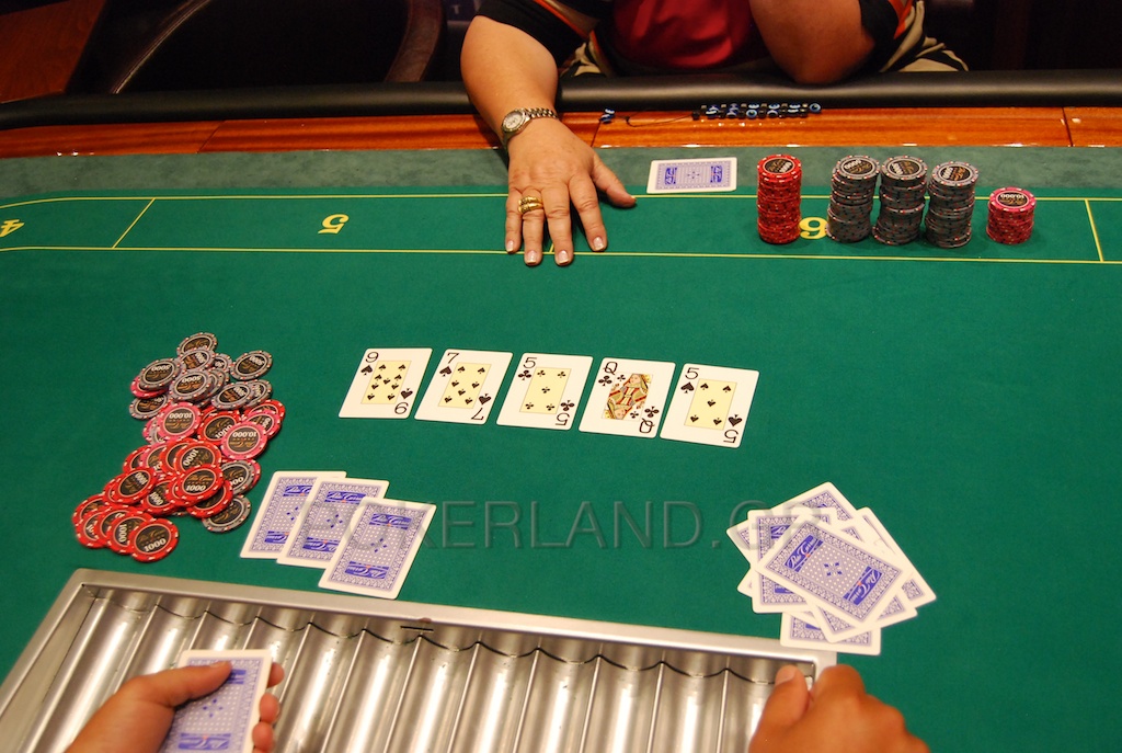 DSC_1012_-_2011-07-24_at_17-05-58