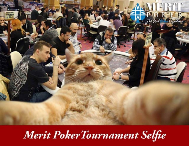 10419541_898068276894734_4315860845311172839_n